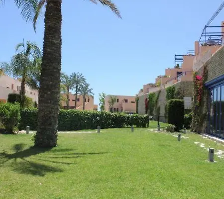 Atalaya Graceful